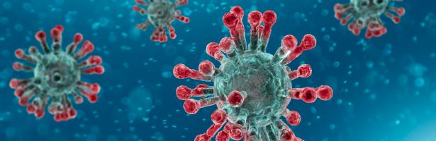desinfecciones coronavirus