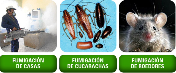 fumigaciones